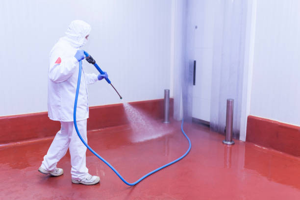 Pre-Holiday Cleaning in Lake Camelot, WI