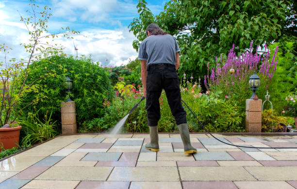 Best Sidewalk and Walkway Cleaning  in Lake Camelot, WI