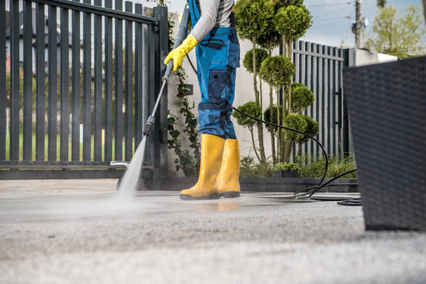 Best Rust Removal  in Lake Camelot, WI